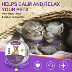 4 Pcs Cat Calming Collar Adjustable Pheromones Scent Relaxing Cat Collar with 2 Pendant for Puppies Reduce Stress Aggression Anxious, up to 15 Inches(Purple, Gold)