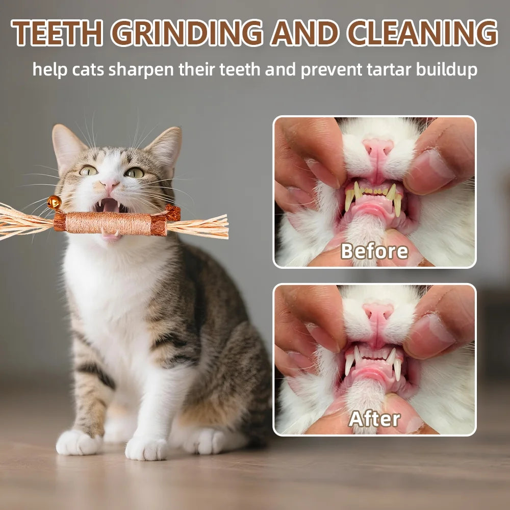 Natural Dried Matatabi Cat Chew Stick with Gall Fruit, Raffia Grass & Bell Cat Ball Toys, Handmade Silvervine Sticks Interactive Catnip Toy for Teething & Entertainment (Size M Color A)