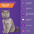 4 Pcs Cat Calming Collar Adjustable Pheromones Scent Relaxing Cat Collar with 2 Pendant for Puppies Reduce Stress Aggression Anxious, up to 15 Inches(Purple, Gold)
