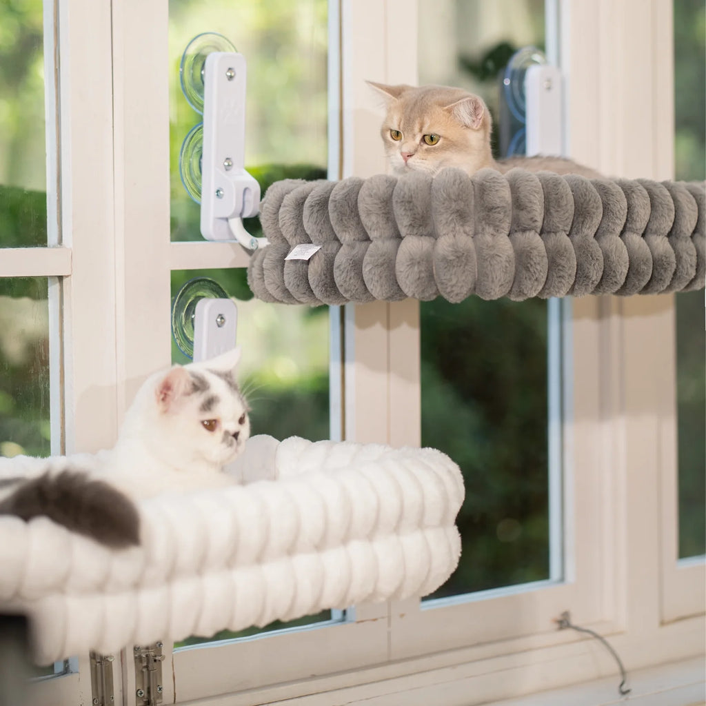 Cat Window Perch, 23*15In Double-Layer Foldable Pet Hammock for Wall with Suckers for Indoor(Medium,White)