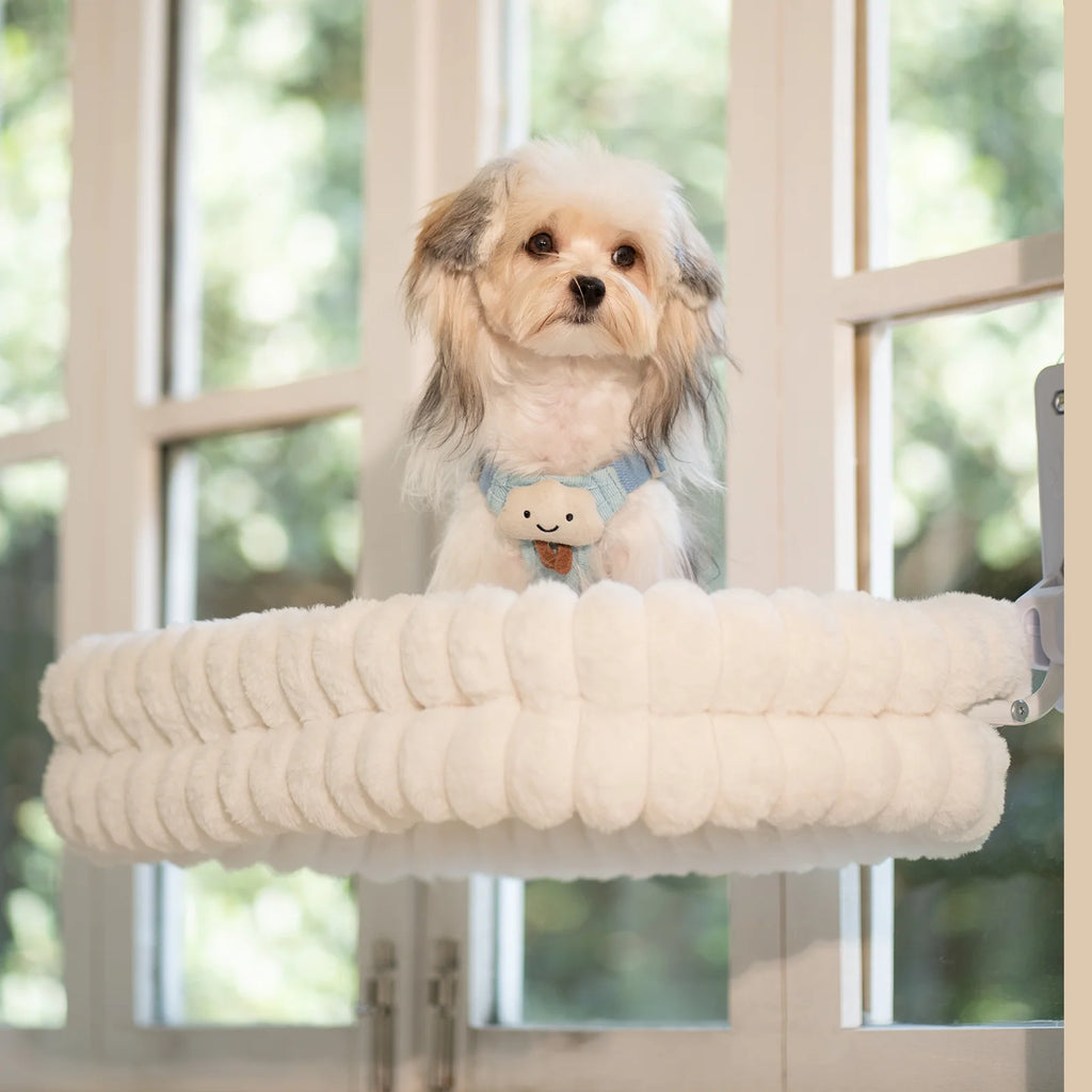 Cat Window Perch, 23*15In Double-Layer Foldable Pet Hammock for Wall with Suckers for Indoor(Medium,White)