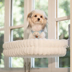 Cat Window Perch, 23*15In Double-Layer Foldable Pet Hammock for Wall with Suckers for Indoor(Medium,White)
