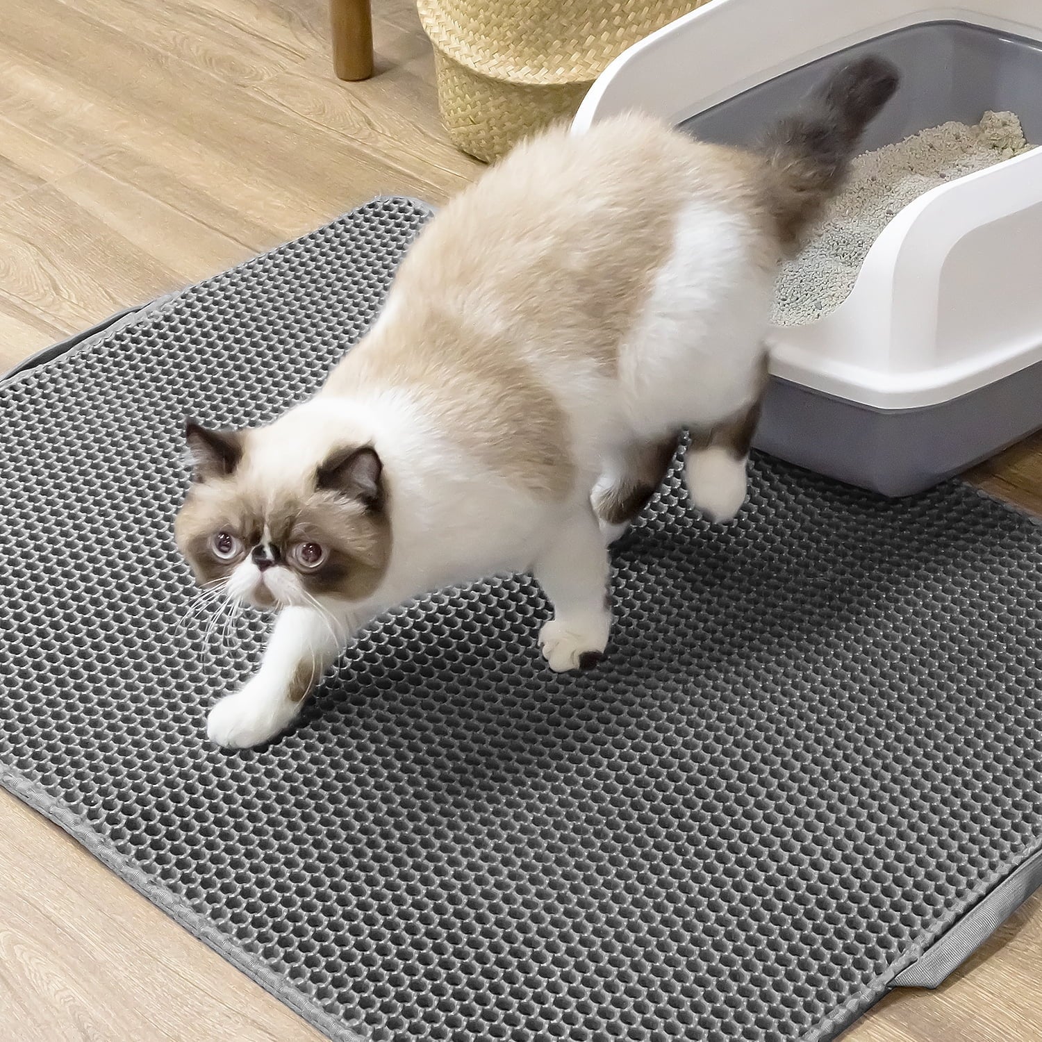 Cat Litter Mat - 34"X26" Honeycomb Double Layer, Urine Waterproof, and Easy to Clean