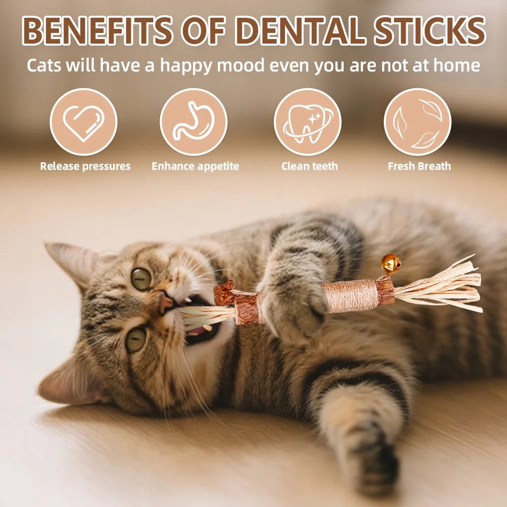 Natural Dried Matatabi Cat Chew Stick with Gall Fruit, Raffia Grass & Bell Cat Ball Toys, Handmade Silvervine Sticks Interactive Catnip Toy for Teething & Entertainment (Size M Color A)