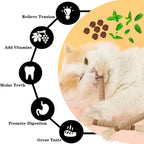 Grembeb Cat Silvervine Toys 7PCS Catnip Treat for Indoor Kitten Snack Cats Chew Stick for Self Play