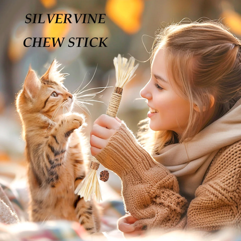 Grembeb Cat Silvervine Toys 7PCS Catnip Treat for Indoor Kitten Snack Cats Chew Stick for Self Play