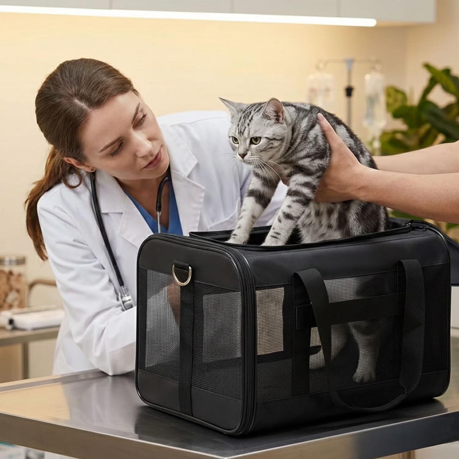 Cat Carrier,Foldable Soft-Sided Large Cat Carrier,Airline Approved Cat Carriers with Safety Leash,Comfort for Cat Travel Carrier,Black